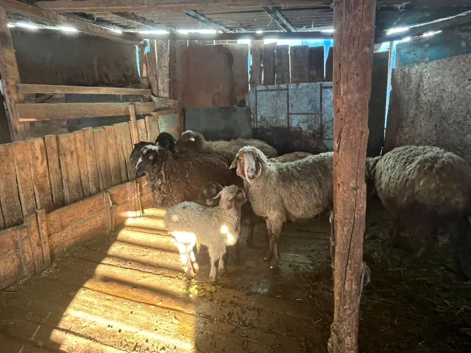 Продам цена договорная