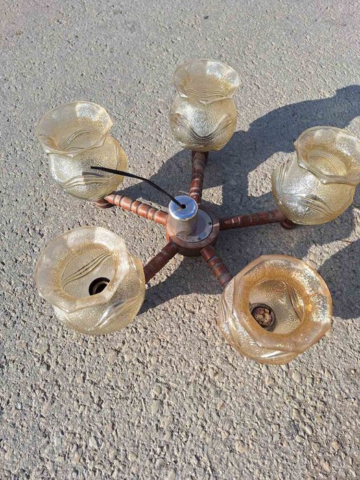 Полилей - 4 вида