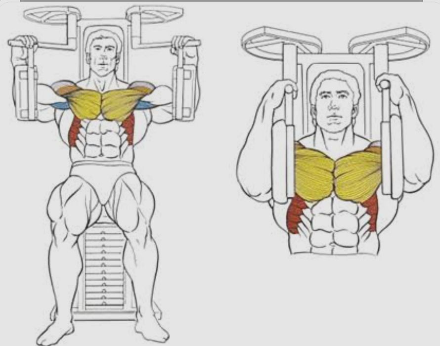 Тренажер бабочка сотилади