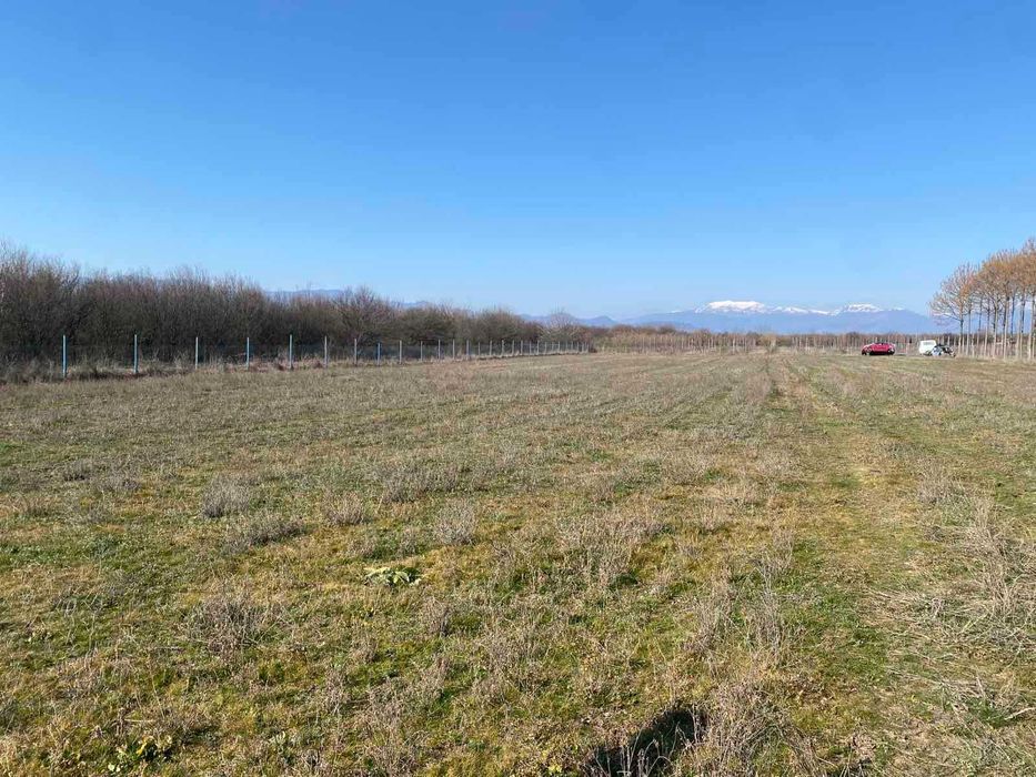 Продава се Парцел в с. Дъбене, Област Пловдив - 6000 кв.м за 6 €/кв.м - Снимка #6