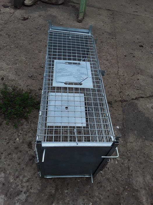 Capcana dihori sobolani vulpi