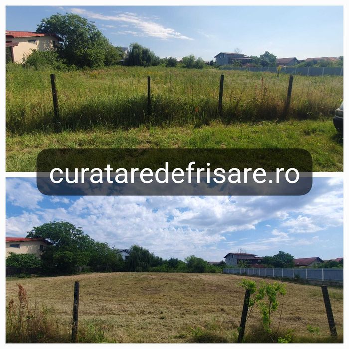 Curatare teren, vegetatie, ambrozie, toaletare, tocare crengi