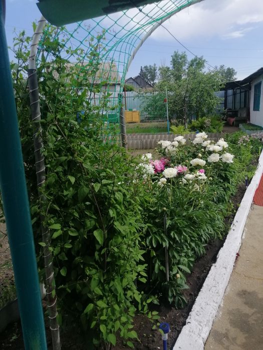 Продам дачу в СО Железобетонщик