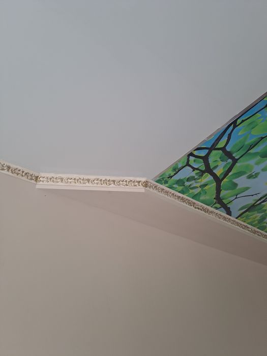 Моющаяся краска  для стен и потолков