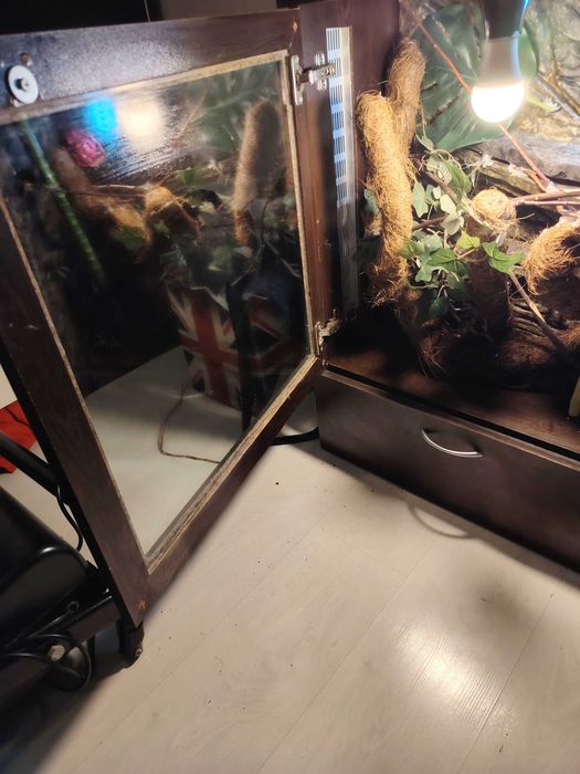 Терарим за хамелеон или друго