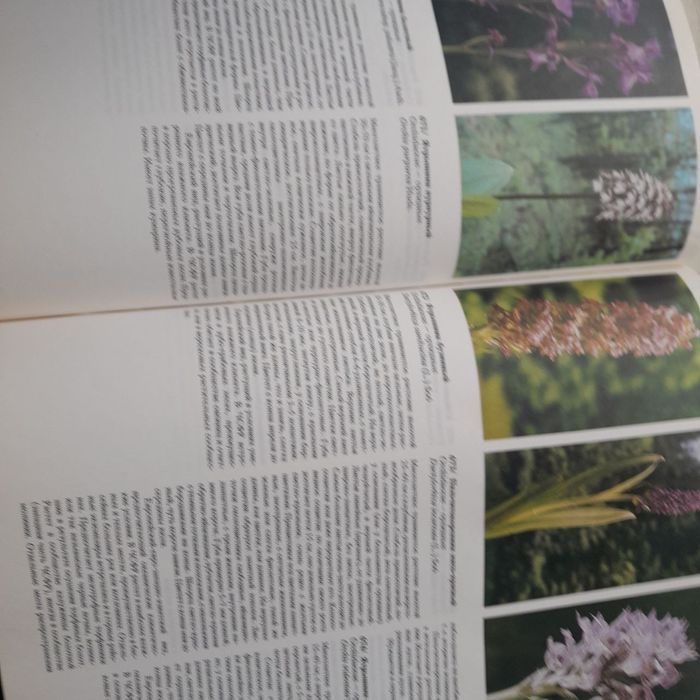 Цветовой атлас растений Библия