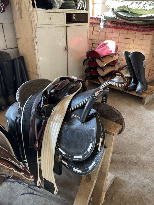 Ертоқым-конская упряжь