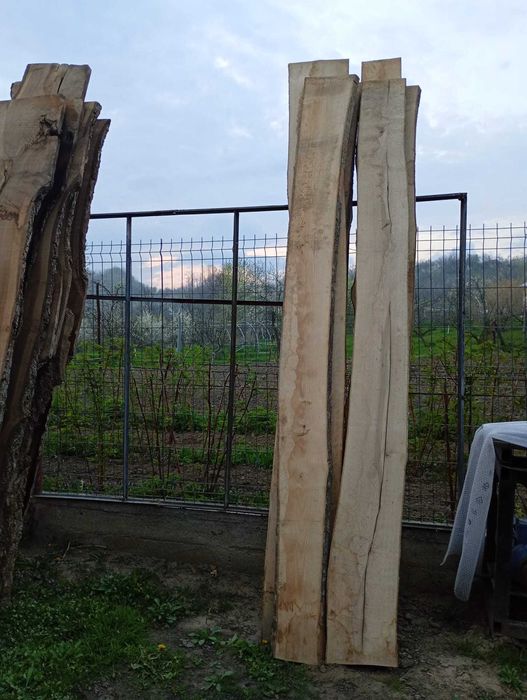 Dulapi Frasin si Nuc uscat