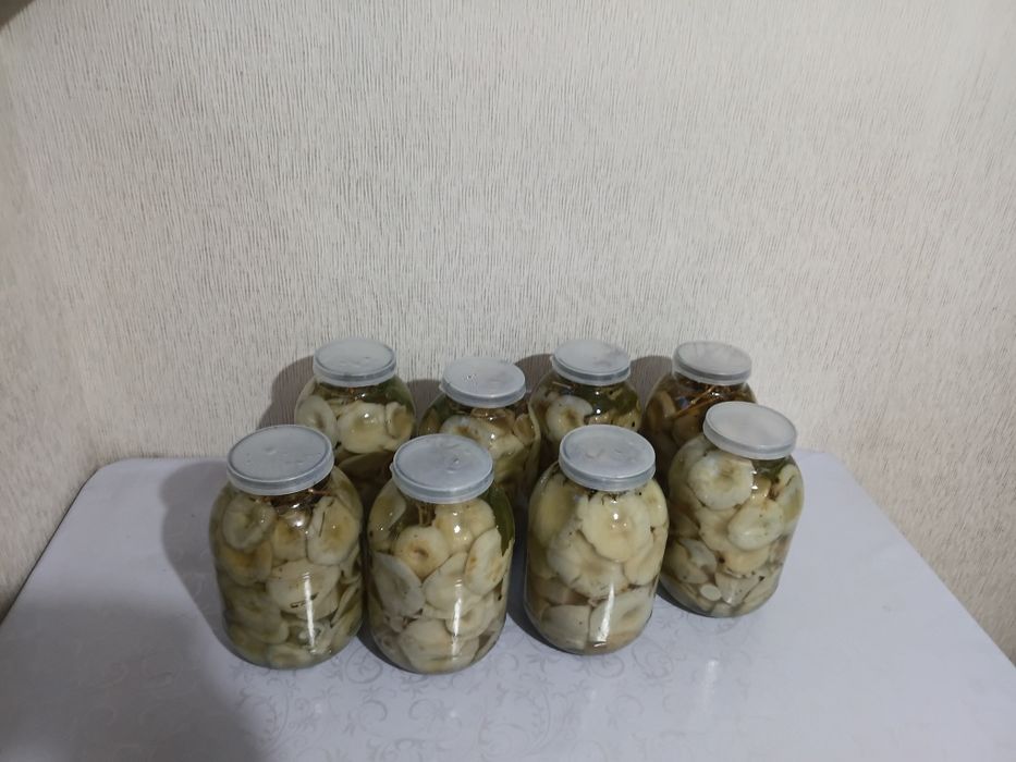 Грибы солёные грузди.