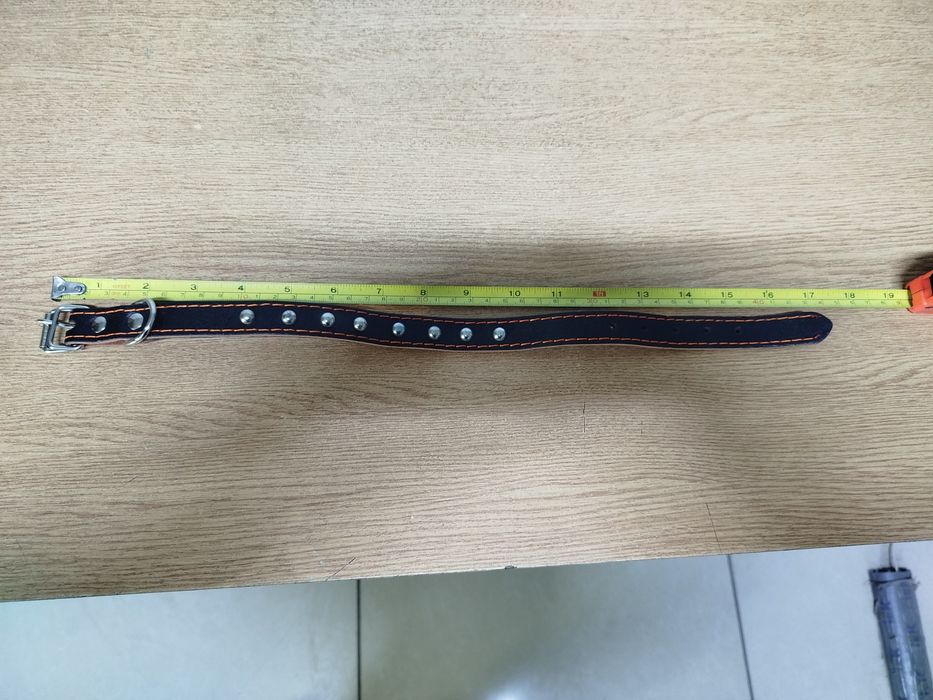 Ошейник для собак