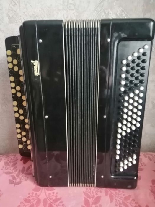 Баян ученический.