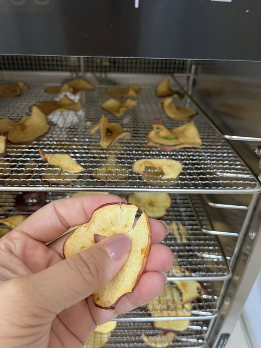 Дегидратор продается