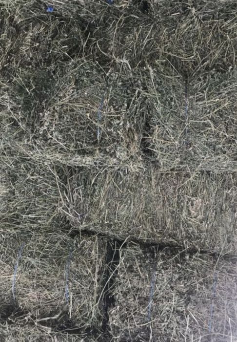 Vând grăunțe și baloți dreptunghiulari din lucernă