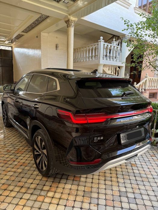 Byd chempion 23  605kv