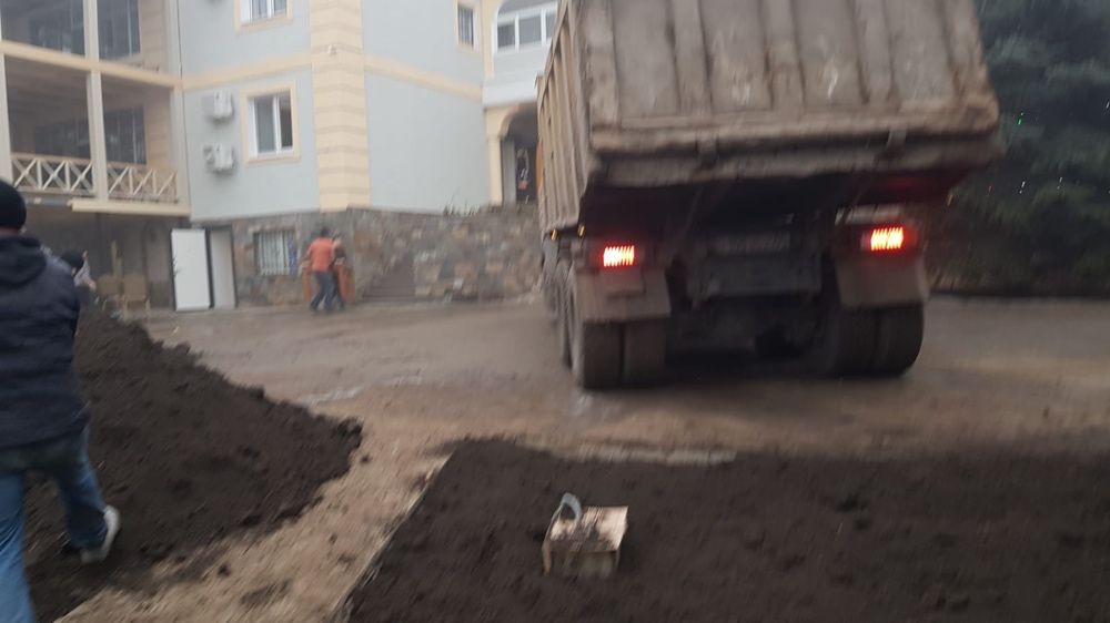 Черназем рыхлая