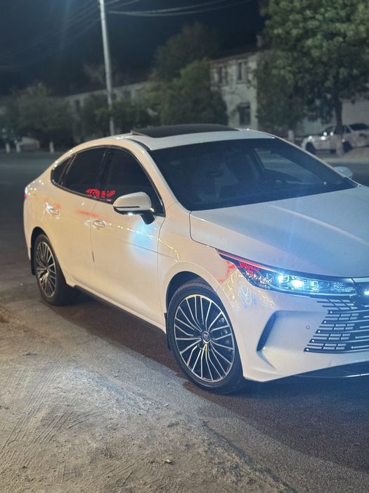 BYD Chazor 120km FULL