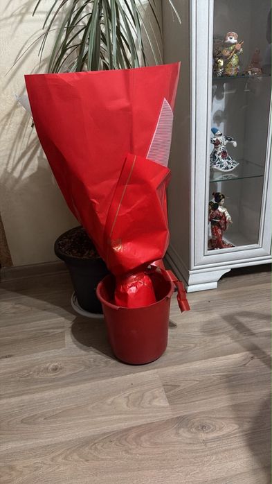 Цветы свежие роза