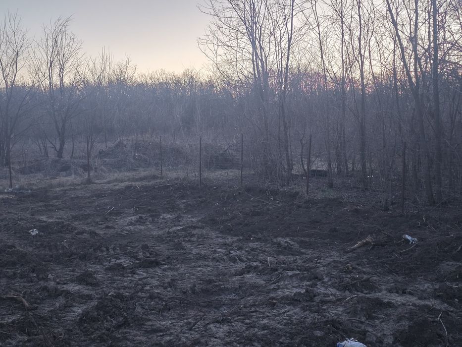 Teren langa pădure Ciurbesti