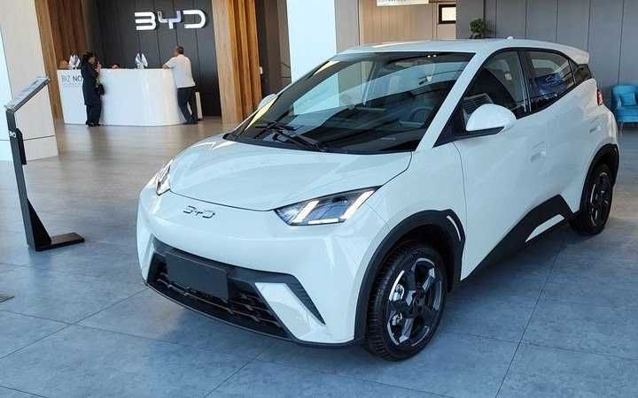 BYD Seagull pod zakaz