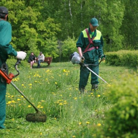 Покос травы триммером