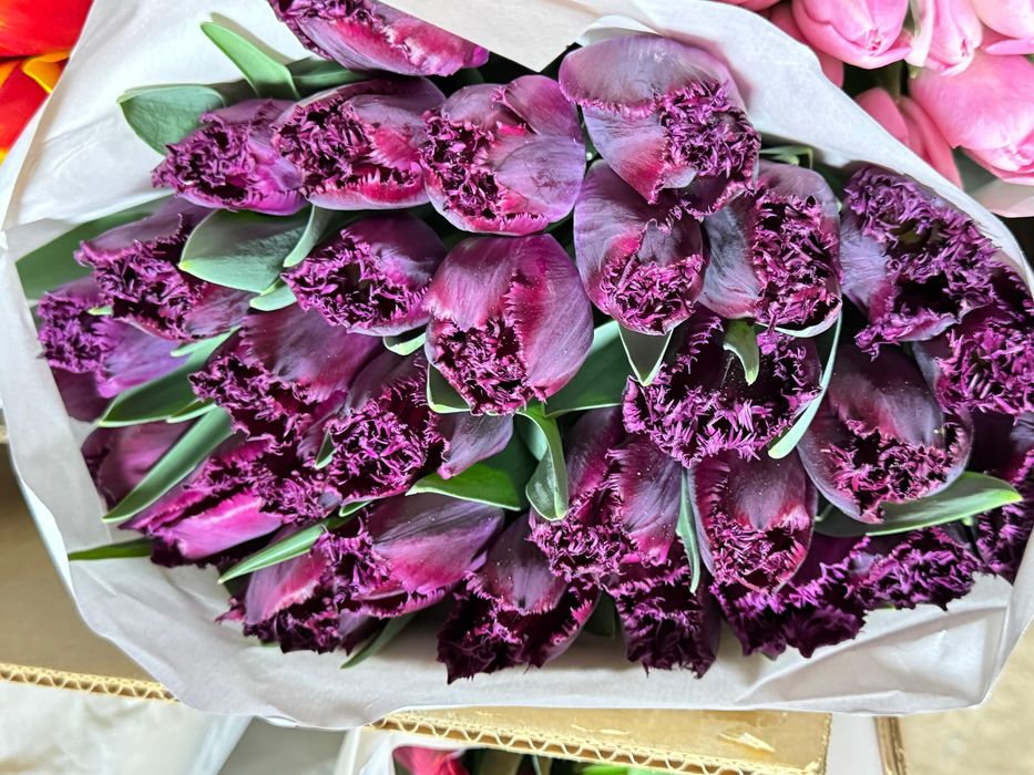 Тюльпаны оптом и в розницу