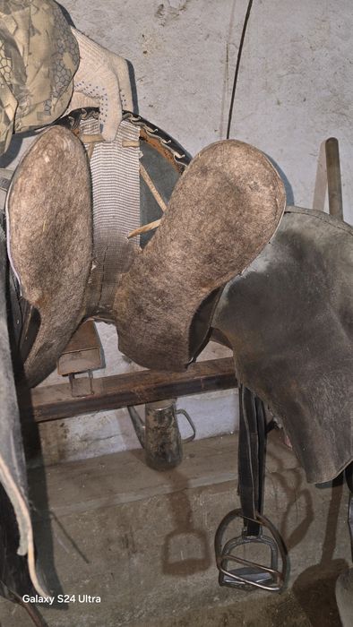 Ер тоқым сатылады