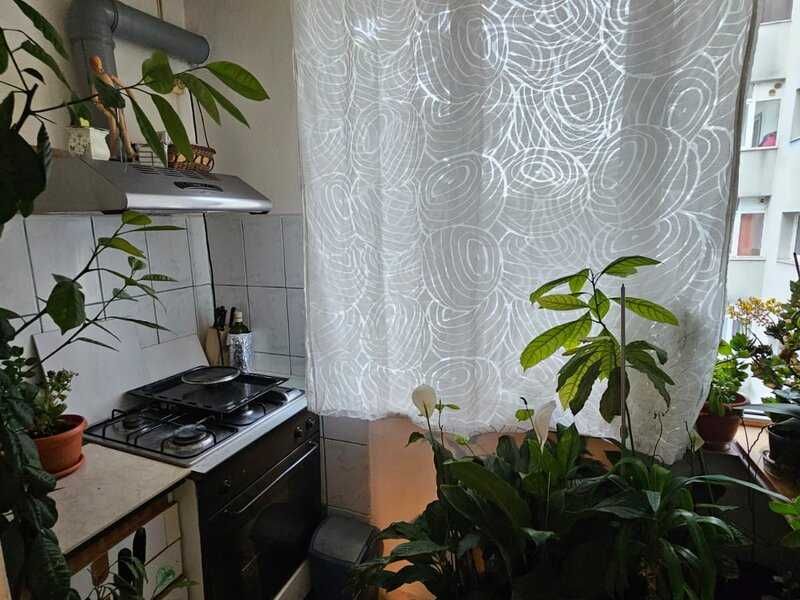 De vanzare apartament Baneasa, Belizarie, 2 camere, etaj 2
