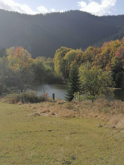 Продава се Парцел в Смолян, Езерово - 1080 кв.м за 31 €/кв.м - Снимка #20