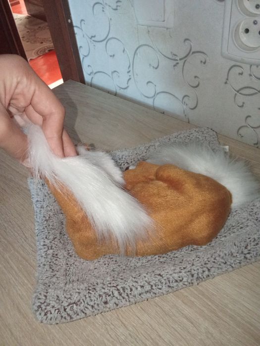 Жылқы   аксесуар