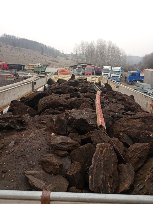 Cărbune lignit sortat pentru Dumneavoastră