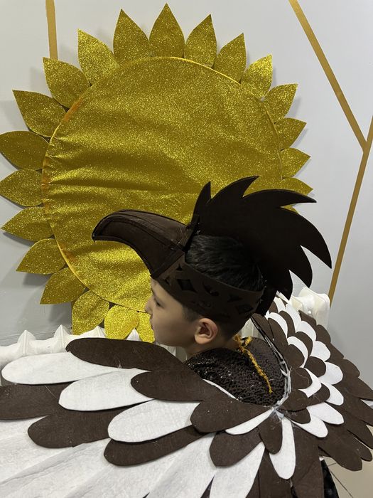 Костюм беркута и солнца