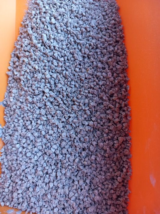 Furaj Prestarter pui găină brizurat