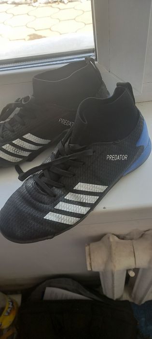 Продам сороконожки .