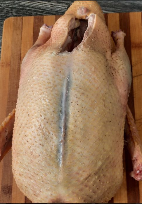 Домашнее мясо птицы