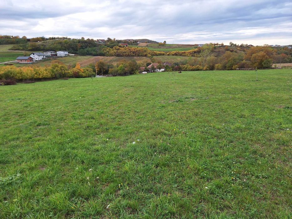 Teren intravilan Ortelec 11500mp