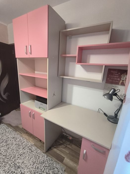 Mobilier  birou și bibleoteca