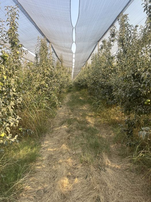 Тайёр бизнес сотилади