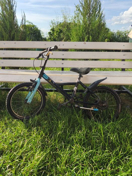 Bicicleta functionala copii 4-6 ani