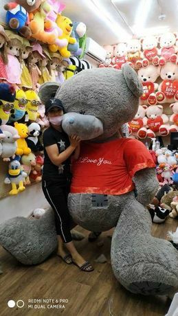 Teddi,Teddiy Teddy ayiqchalari