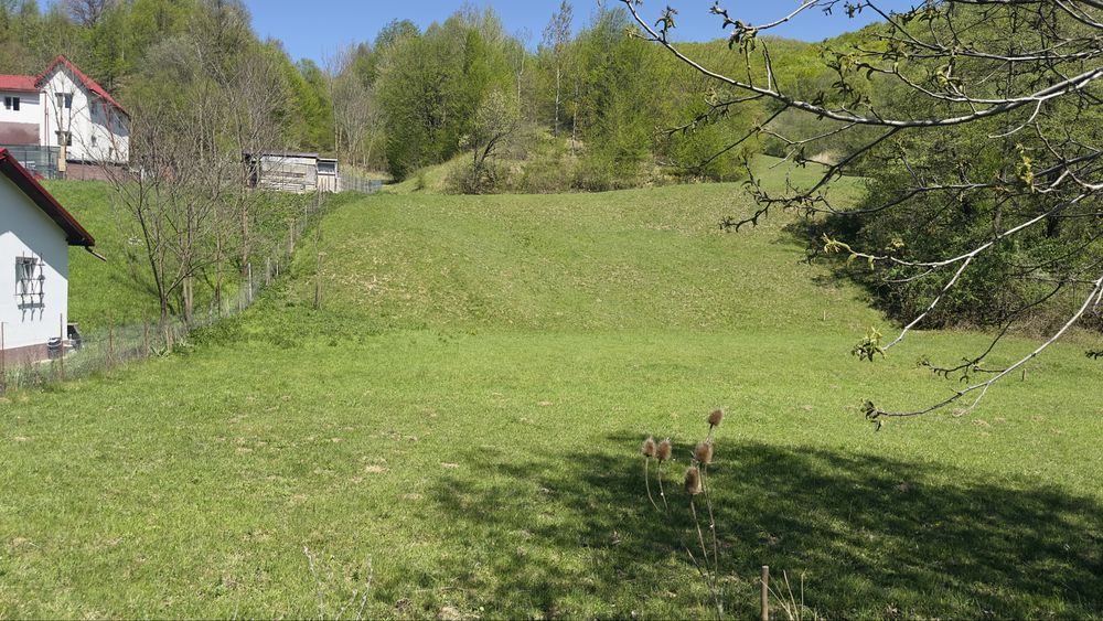 Vand Teren Munte - Intravilan 1800mp