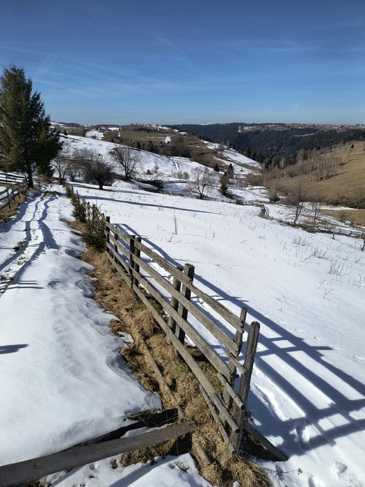 Vând teren în Măguri!