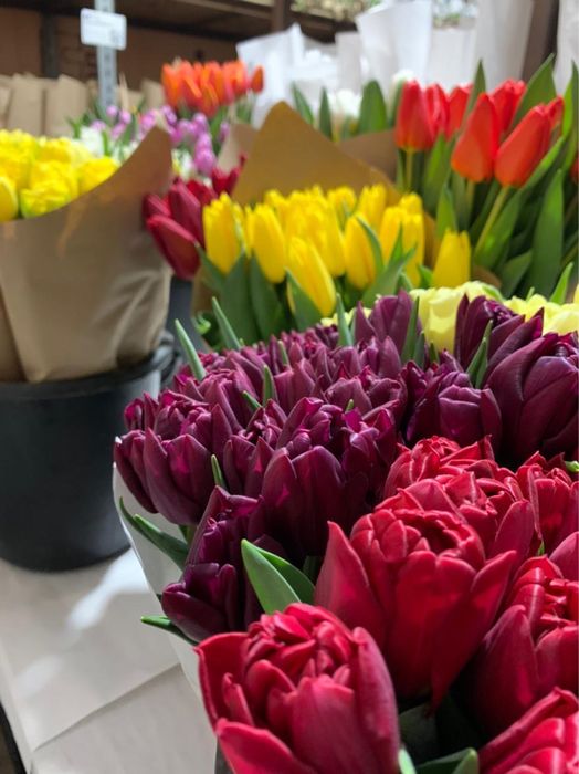 Тюльпаны в Алматы Алматинской облости