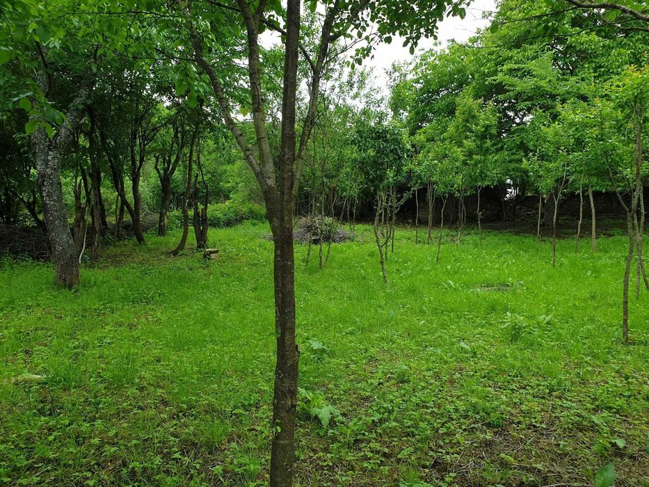 Продава се Парцел в с. Лесичарка, Област Габрово - 850 кв.м за 17 €/кв.м - Снимка #3