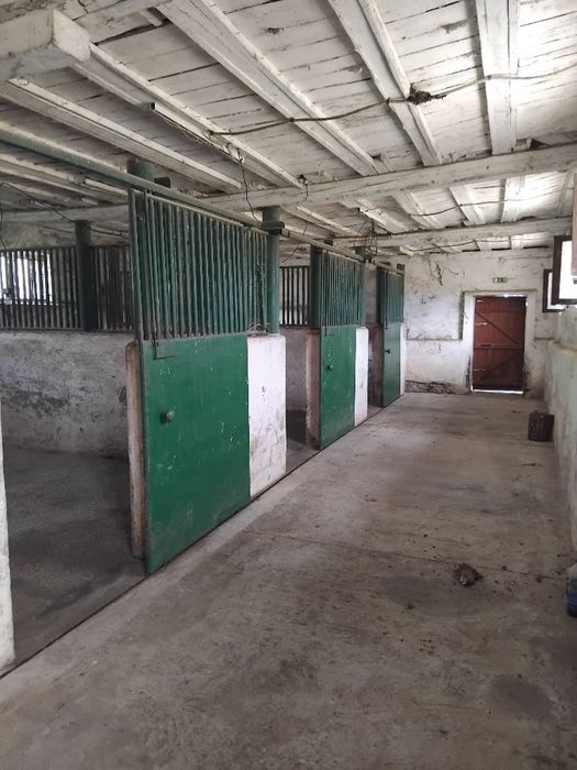 Продава конна база в с.Боровец общ.Кочериново