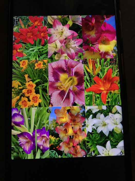 Дача 10 соток Общество «Ракета»