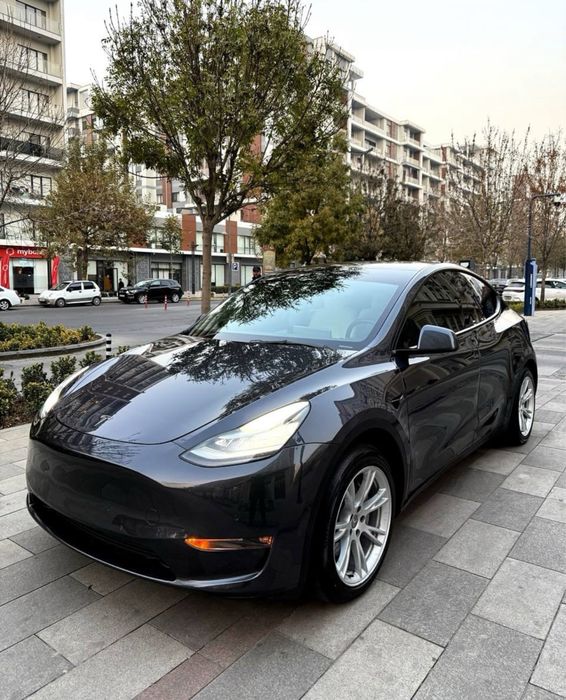 Tesla Model Y USA 2021/2022