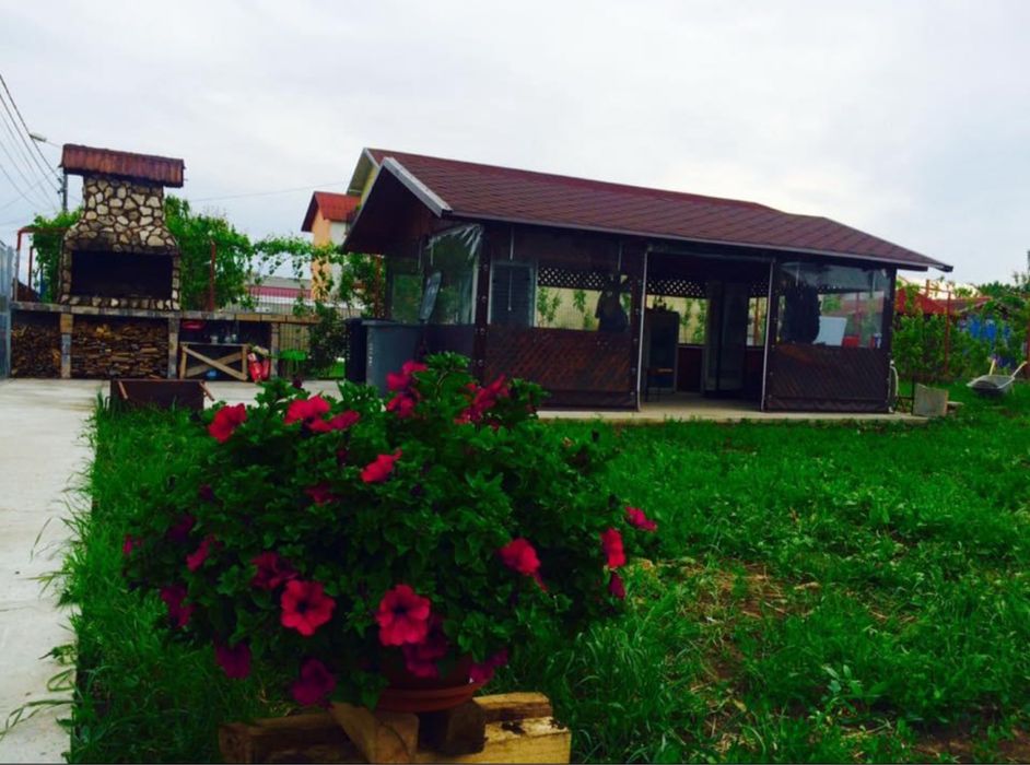 Cazare Beach Please/ Cazare Costinesti