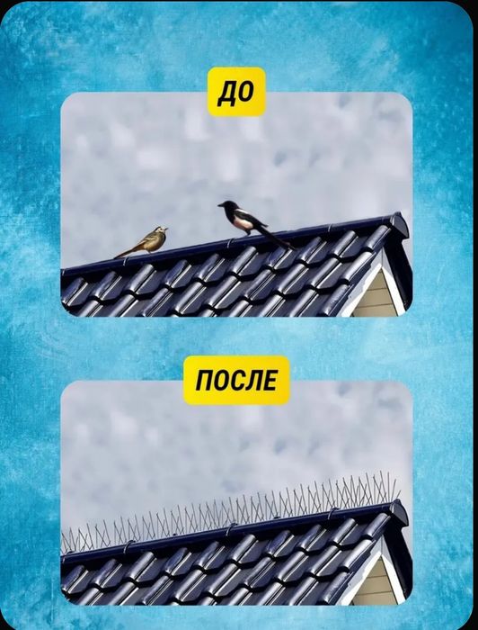 Противоприсадные Шипы от птиц