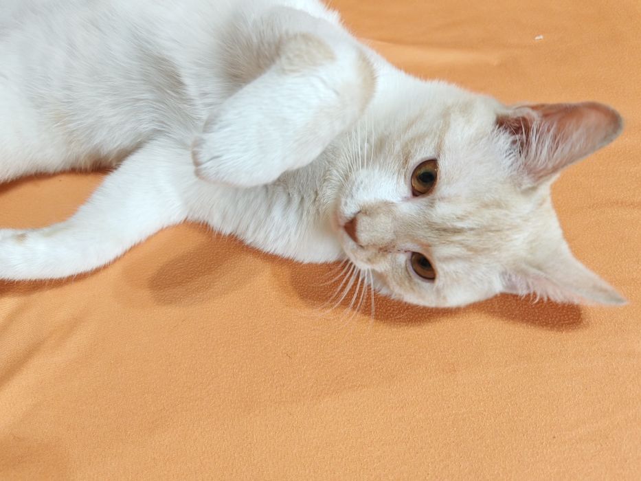 Мальчик 7 месяцев