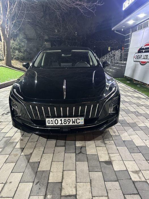 Hongqi Eqm5 Qora Rang